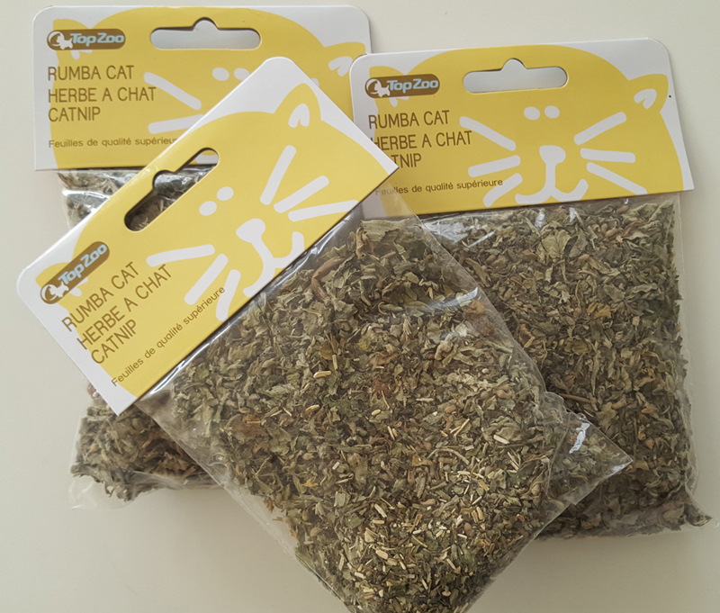 herbe à chat action